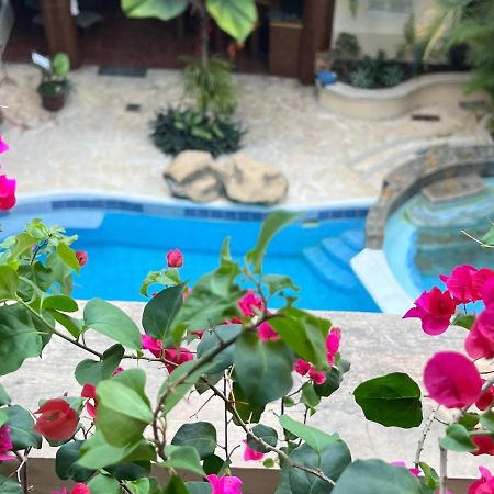Hotel Quinta Maya Flores Extérieur photo